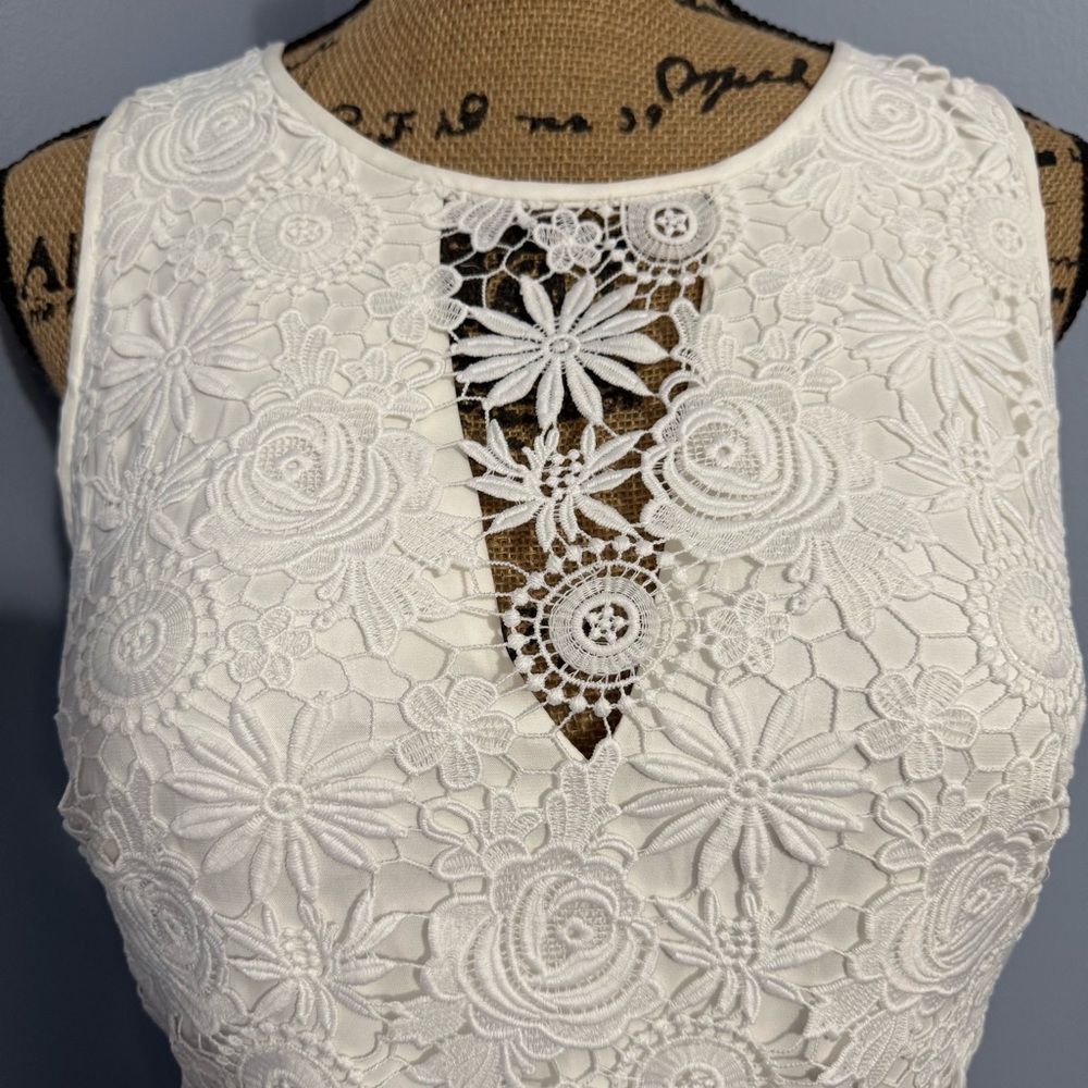 WHBM Floral Lace Dress - Picture 12 of 16
